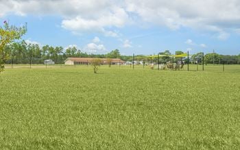 Dog park